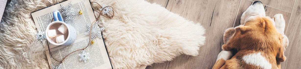 Sélection de canapés de luxe et gamelles design pour chiens