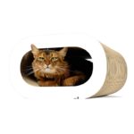 Le Tronc - XL - Griffoir deco pour chat