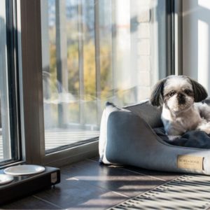 CLASSIC - Lit confortable pour chien