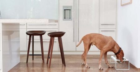 Gamelle design chien - Desco