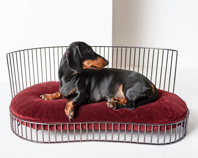 Canapé de luxe minimaliste pour chien – SMITH