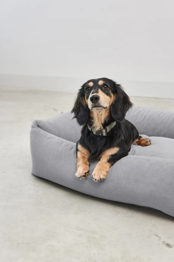 Panier pour chien confort design - COMODO