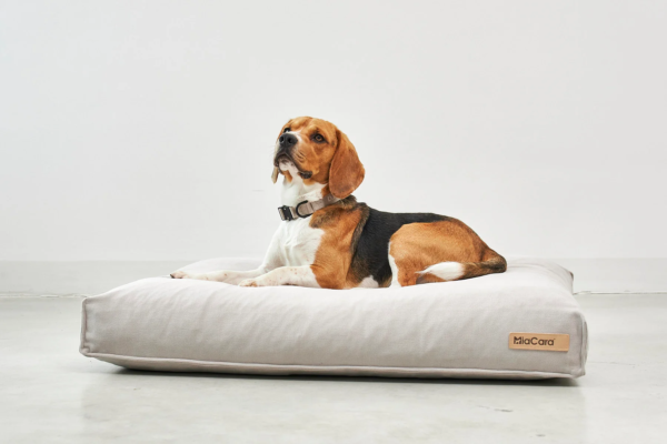 Coussin pour chien confort design - COMODO