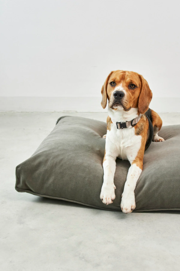 Coussin pour chien confort design - COMODO