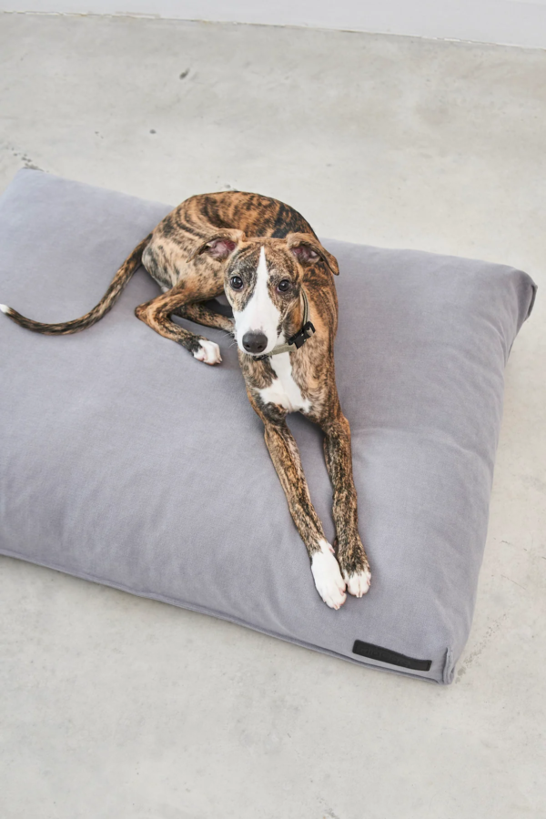 Coussin pour chien confort design - COMODO