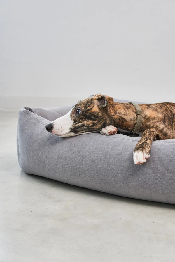 Panier pour chien confort design - COMODO