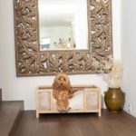 panier major rotin naturel design chien