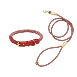 laisse collier by scout design chien et chat