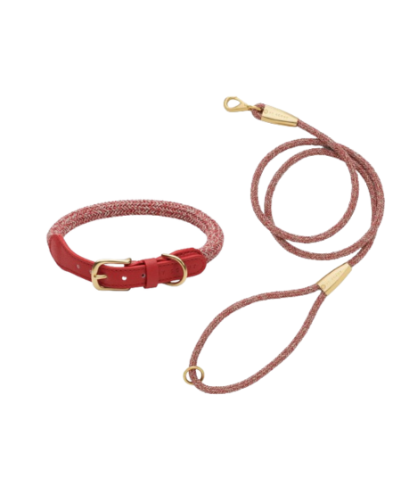 laisse collier by scout design chien et chat