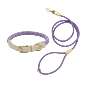 laisse collier by scout design chien et chat