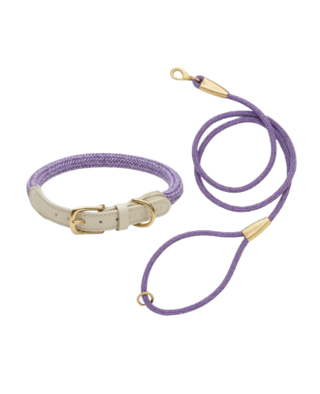 laisse collier by scout design chien et chat