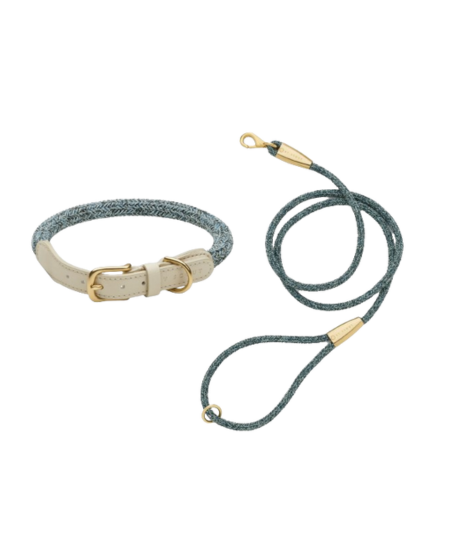 laisse collier by scout design chien et chat