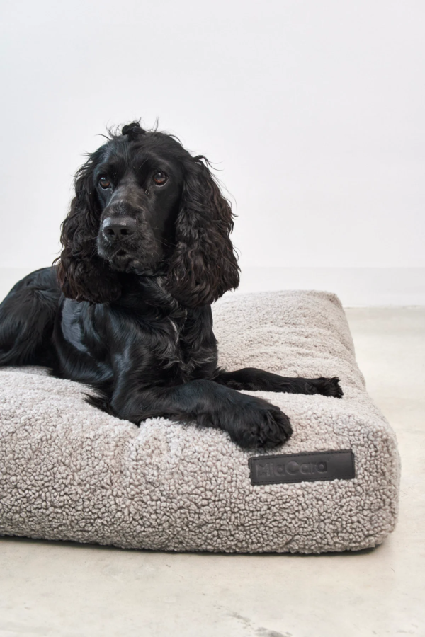 Coussin bouclé design pour chien - SENSO