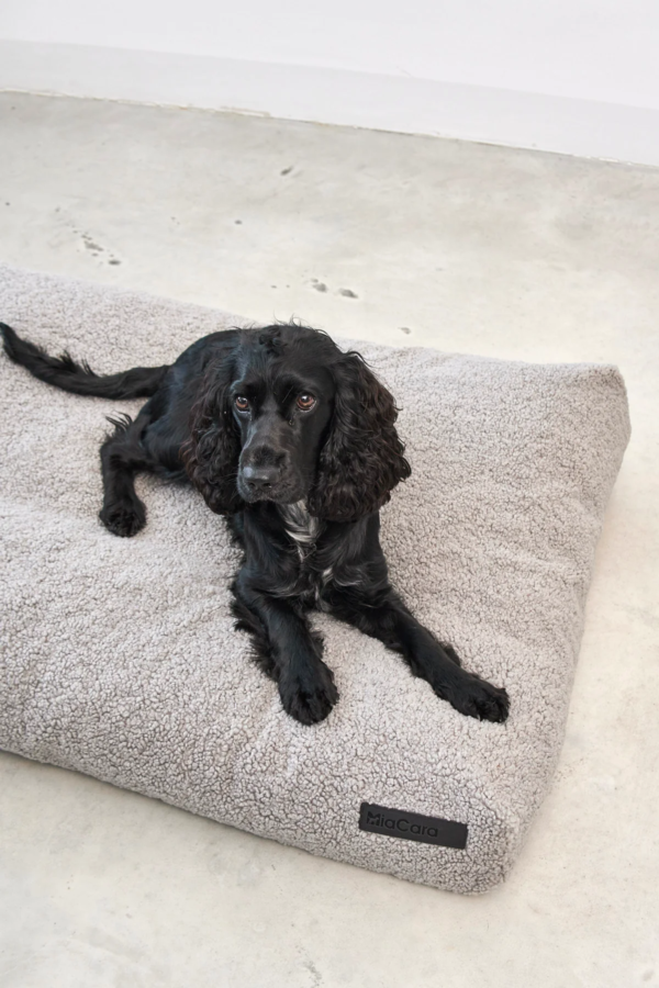 Coussin bouclé design pour chien - SENSO