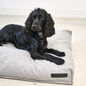 coussin design pour chien calma miacara