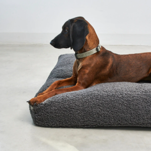 Coussin bouclé design pour chien - SENSO