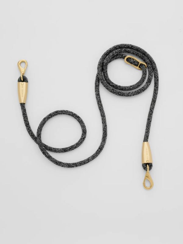 laisse collier by scout design chien et chat