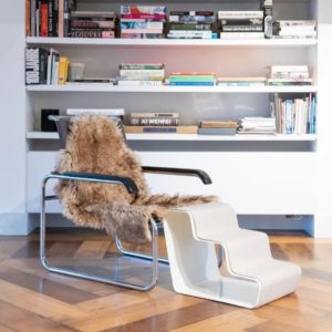 RAMPE DESIGN POUR CHIEN ET CHAT DOGBEAM