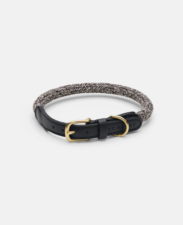 laisse collier by scout design chien et chat