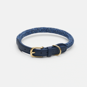 laisse collier by scout design chien et chat