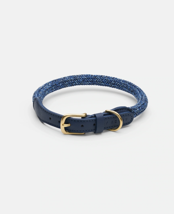 laisse collier by scout design chien et chat