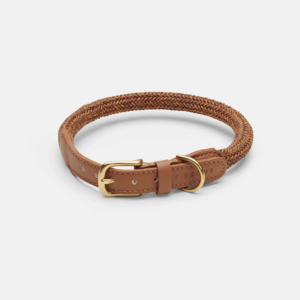 laisse collier by scout design chien et chat