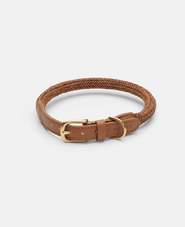 laisse collier by scout design chien et chat