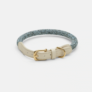 laisse collier by scout design chien et chat