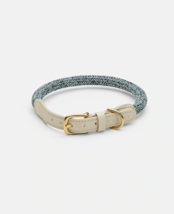 laisse collier by scout design chien et chat