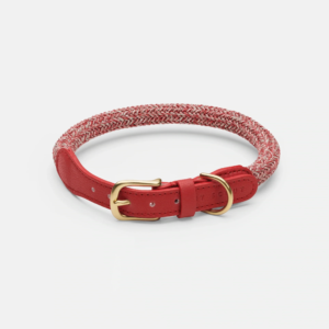 laisse collier by scout design chien et chat