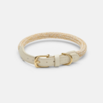 laisse collier by scout design chien et chat