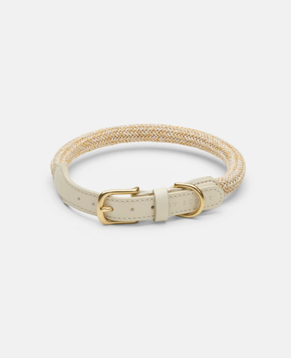 laisse collier by scout design chien et chat