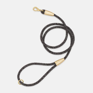 laisse collier by scout design chien et chat