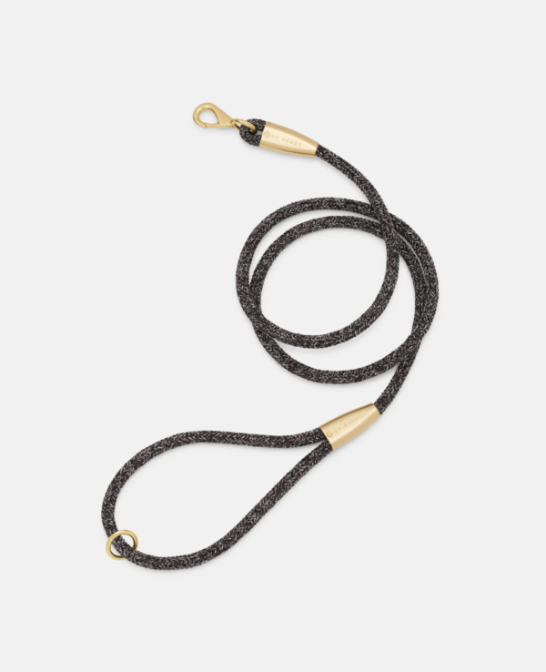 laisse collier by scout design chien et chat