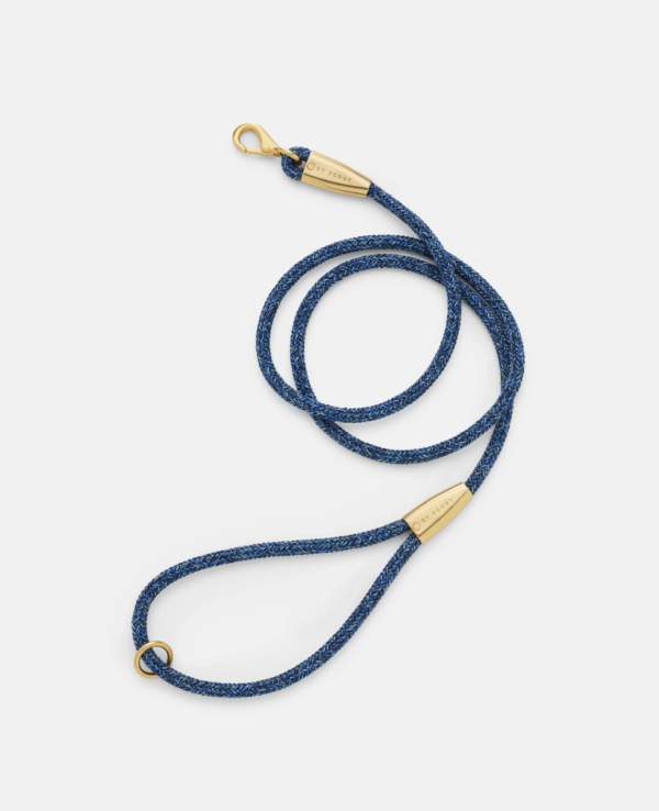 laisse collier by scout design chien et chat