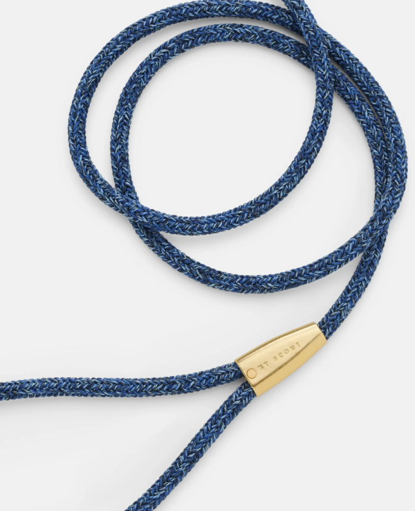 laisse collier by scout design chien et chat