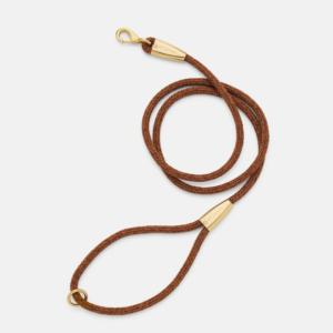 laisse collier by scout design chien et chat