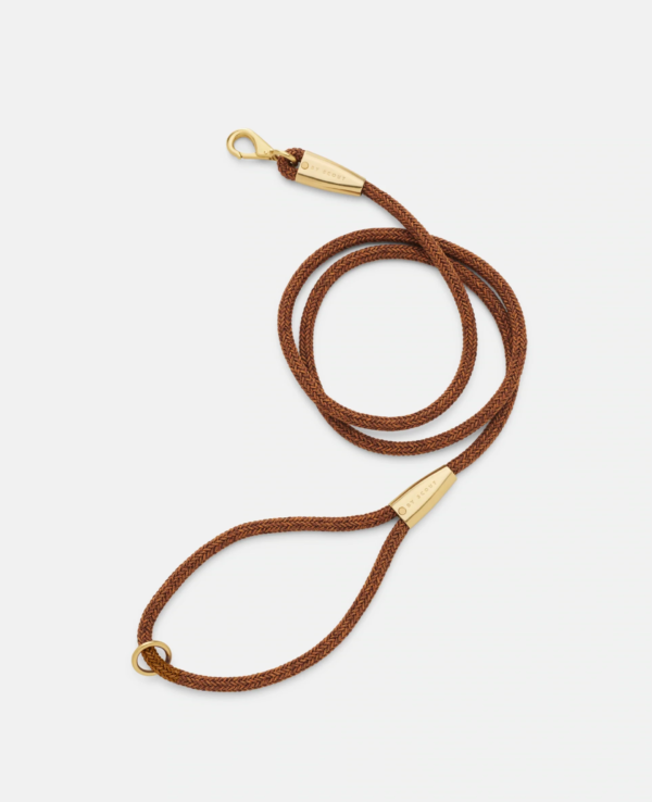 laisse collier by scout design chien et chat