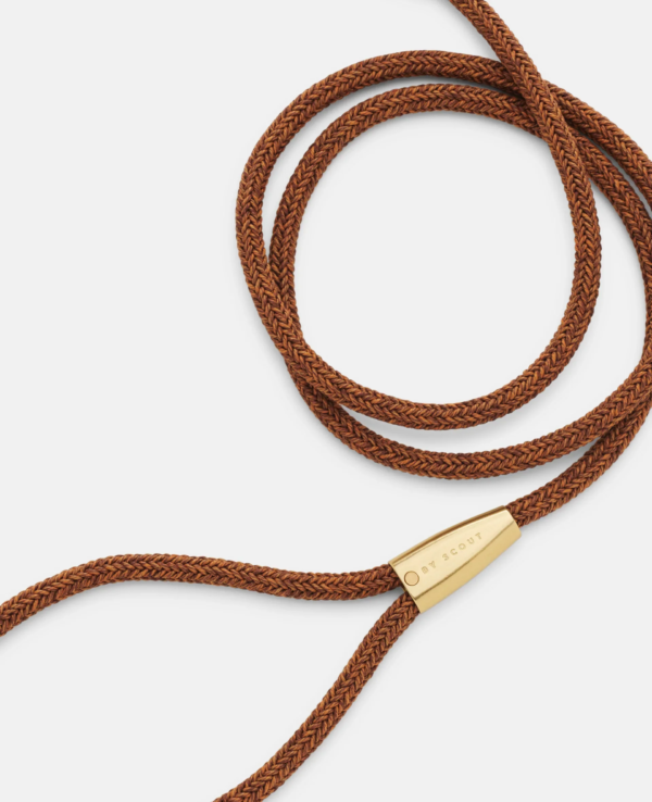 laisse collier by scout design chien et chat