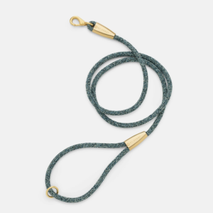 laisse collier by scout design chien et chat