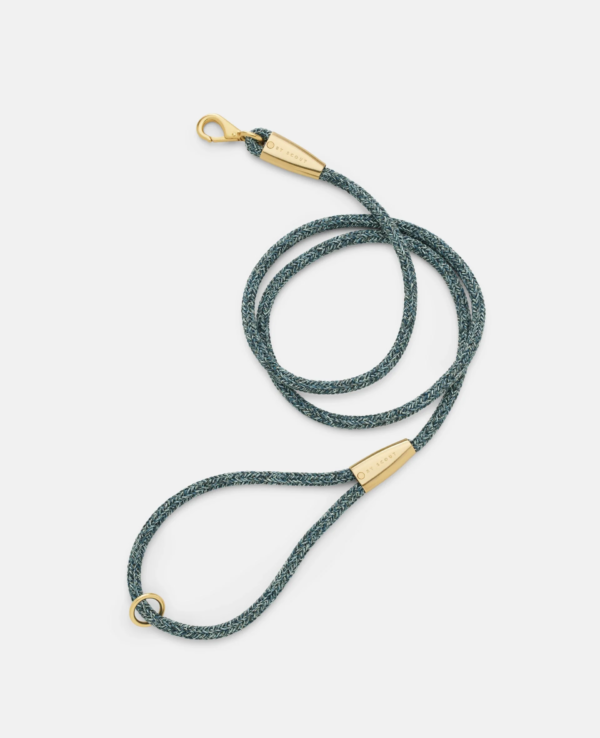 laisse collier by scout design chien et chat