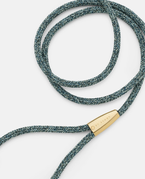 laisse collier by scout design chien et chat