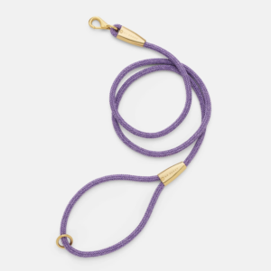 laisse collier by scout design chien et chat