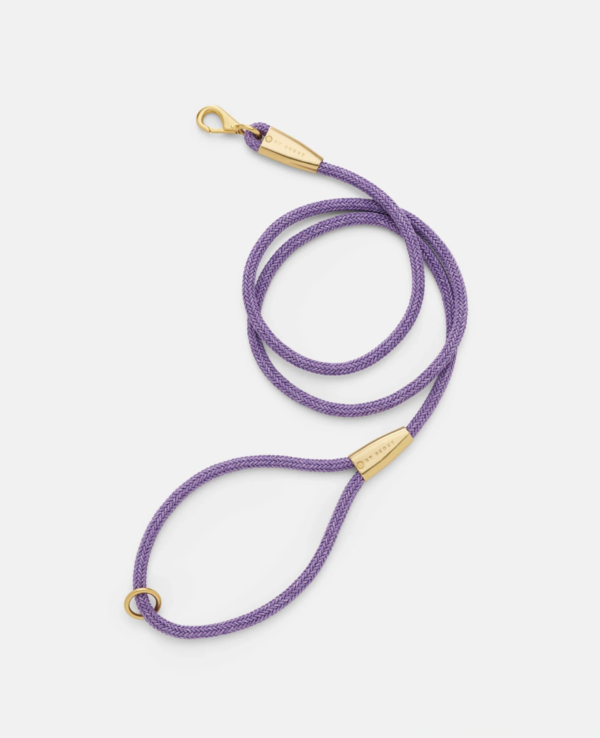 laisse collier by scout design chien et chat