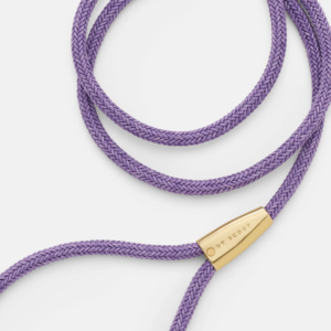 laisse collier by scout design chien et chat