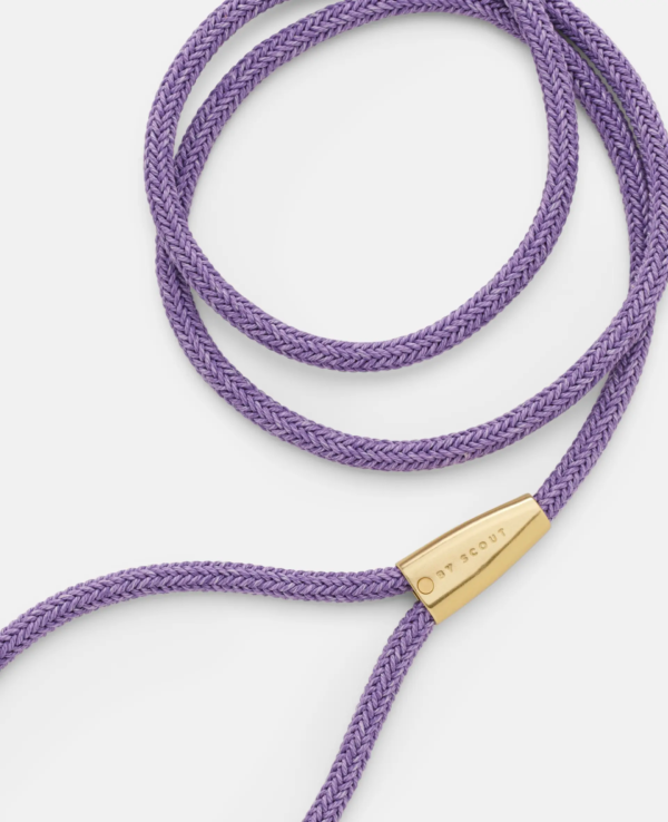 laisse collier by scout design chien et chat