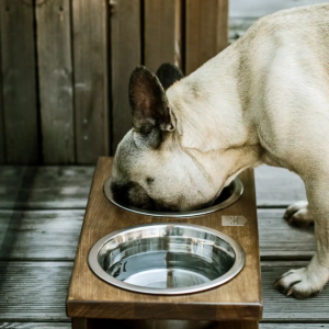 Gamelles en bois pour chien design - GRANDE