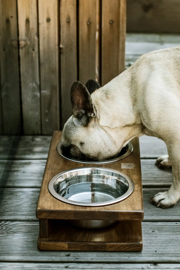 Gamelles en bois pour chien design - GRANDE