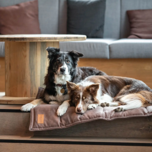 Matelas de voyage design pour chien - CLASSIC bowl and bone