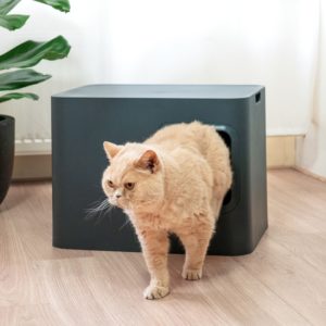 Maison de toilette de luxe pour chat - Hoopo – Image 10